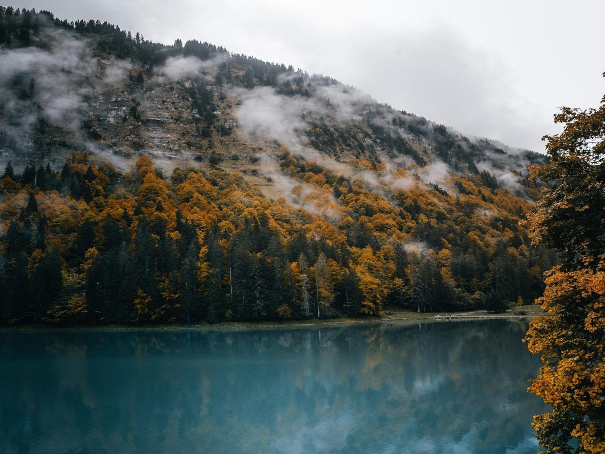 Chalet Genepi モントリオン エクステリア 写真