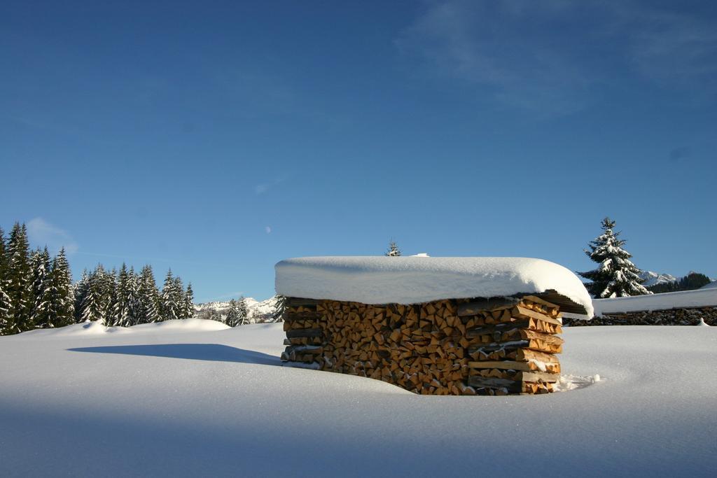 Chalet Genepi モントリオン エクステリア 写真
